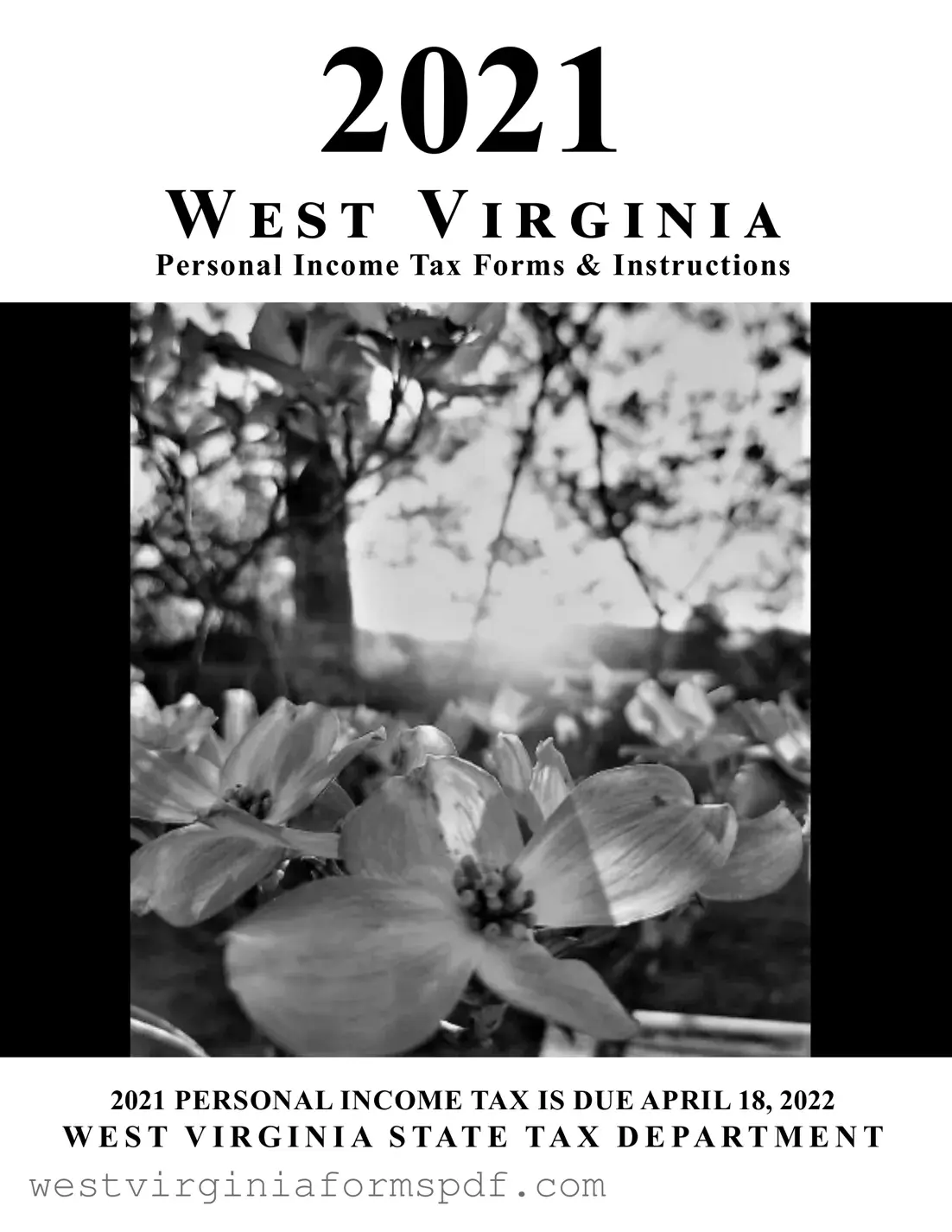Blank Wv Tax PDF Template